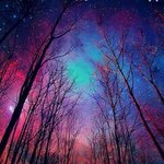 [다드루와바] 얘들아 한번만 봐줘ㅠㅠ