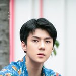 [세훈] 170813 <b>신촌</b> 팬사인회 고화질31