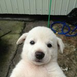 [댓글부탁해] <b>작명소</b> 가본 애들 들어와줘ㅠㅠ