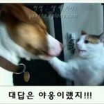 설레는거 <b>조하</b>하는애들아..