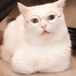 [EXO] <b>이불</b><b>밖</b>피디 덕잘알 ㅇㅈ