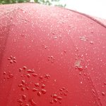 [댓글부탁해] 이거 어떡해??(요약ㅇ+++추가