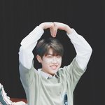 [박우진] 참새 발레하는줄