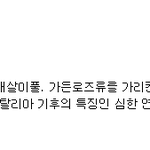 [방탄소년단] 와우 <b>사전</b>까지;;;