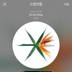 [EXO] 진짜 우리팬들 존 나 마음 아프다