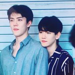 [EXO] 하__ 변백현오세훈조카잘생겼다__와__