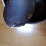 [댓글부탁해] <b>동서</b>식품 포스트 콘푸라이트에 이상한게 나왔어요..