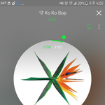 [EXO] 너희 덕질하면서 해본짓중에