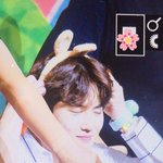 [EXO] 면토끼 <b>진화</b>과정