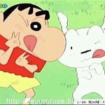 [드루와] 프<b>배사</b>하기 좋은 사진 올리고 가자!!