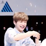 [강다니엘] ㅅㄷ 홈마들은 어찌 팬싸 다감?