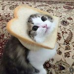 [조언부탁해] 얘들아 망했어ㅠㅠ