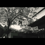 [인피니트] 오늘진짜 핵 우울