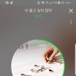 [세븐틴] 콘서트 간 캐럿들