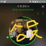 [세븐틴] ㅅㄷ)아니 알페스러들 원래다 그래?..