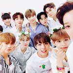 [워너원] ㅅㅁㅇㅈ최애는 누구나 있는 거잖아