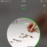 [세븐틴] ㅅㄷ 셉틴 영상 틀고자면 꿀잠이다ㅜ