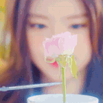 <b>정화</b>정화