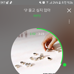 [세븐틴] <b>캐럿</b> 뜻이 뭔지 설명이 필요해ㅠㅠ