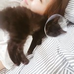 길에서 메리에게 간택당한 <b>집사</b>이야기