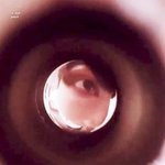 [방탄소년단] 워워 다<b>들</b> 진정하세요~