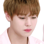 [박지훈] 윙깅이 주간아 <b>울음</b>짤 나왔당!!!