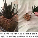 [드루와] 너네 솔직히 <b>몇달</b> 후에 보자는 글