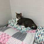 우리집 똥쟁이들