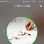 [세븐틴] 안 궁금해할것 같지만