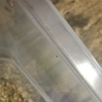 [조언부탁해] <b>햄스터</b>나 토끼 키우는 사람 제발 도와줘ㅠㅠㅠㅠㅠㅠㅠ