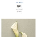 [방탄소년단] 이꽃이름이 칼란데