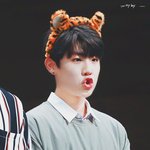 [박우진] (입틀막..) 세상에나 우리팬톡이 활성화가 되다니..ㅠㅠ