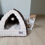 [고양이] 우리집 박봉구 乃 3탄