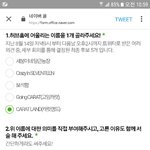 [세븐틴] 보석함이랑 <b>캐럿랜드</b> 둘중에 뭐고르지
