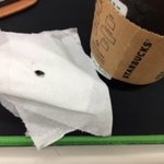 스타벅스에서 파리 나왔습니다..