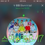 [워너원] 근데 우리 저번주 이번주 열<b>시미</b> 했다진짜