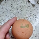 [댓글부탁해] 달걀있잖아