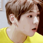 [강다니엘] ㅅㄷ 강다로 <b>취미</b>변경