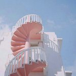 [댓글부탁해] ㅁㅊ잠자리가 거미줄에 묶임 (<b>미방</b>ㅇ)