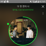 [세븐틴] 우리가 눈앞에서 보여줄방법밖에 없는 듯
