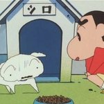 [댓글부탁해] 나만 학교생활 <b>개별</b>론가 ...?