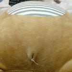 [댓글부탁해] 인형 샀는데 조카 <b>은밀</b>한 곳에 구멍나있음