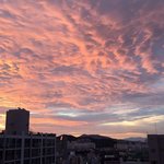 [EXO] 오늘 밤 <b>새서</b> 찍었는데 ㅈㄴ 잘 나왔지않냐