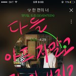 [세븐틴] 캐럿들~ 다들 뭐행??