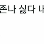 <b>워너</b>원분들 아육대 나가는 건 좋지만