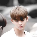 [워너원] 이 홈마분 아는 워너블 잇오?