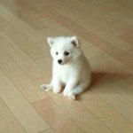 [드루와] <b>에너</b>제틱이노래랑비슷한거같음...