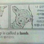 쇼핑몰 추천 좀 해주삼 ㅎㅎ