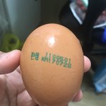 [조언부탁] 이마트 <b>계란</b> 먹으면 안되나요?