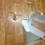 [드루와] 나보다 <b>불행</b>한사람있냐? 우리 자기가 젤 <b>불행</b>하다 대결하자!